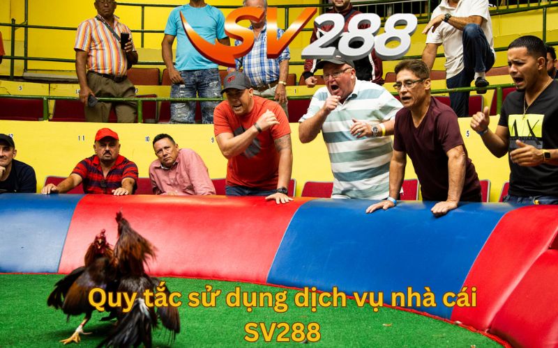 Quy tắc sử dụng dịch vụ nhà cái SV288